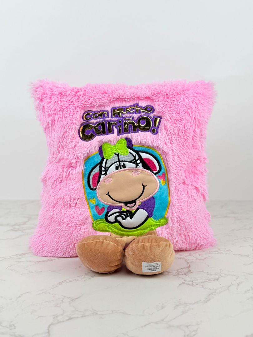 COJINES DE PATAS 40*40