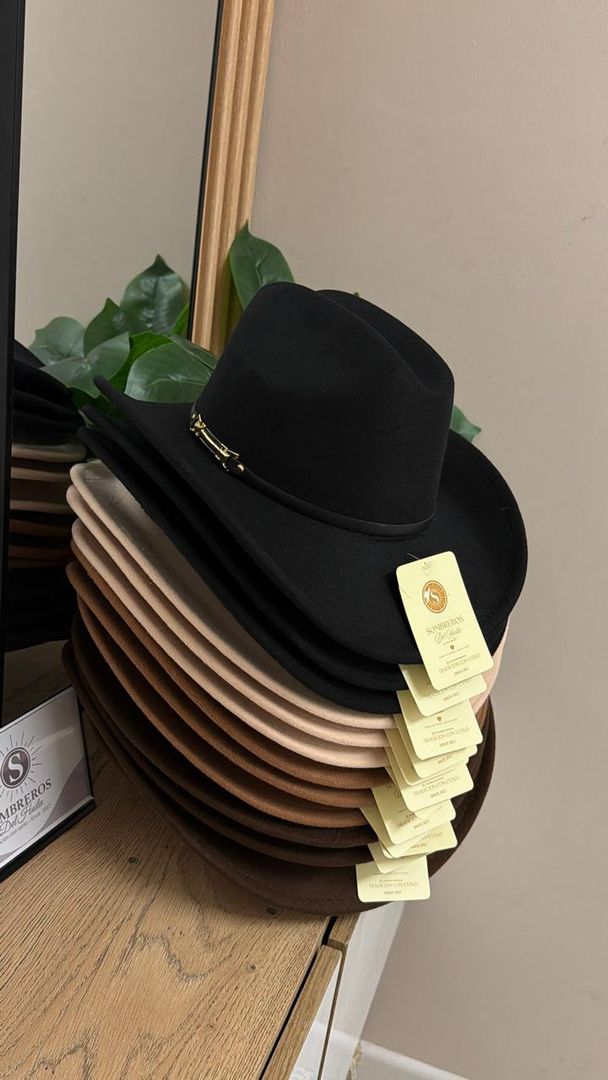 SOMBRERO TIPO FIELTRO 1