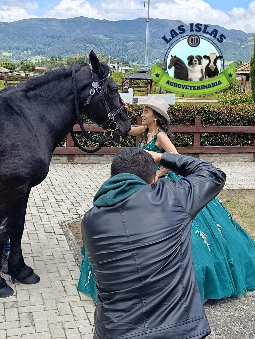 SESION FOTOGRAFICA CON CABALLO
