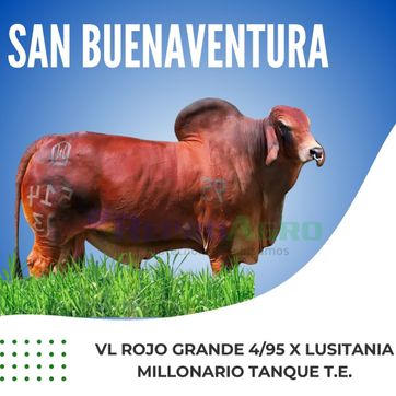 SAN BUENAVENTURA - imagen 1