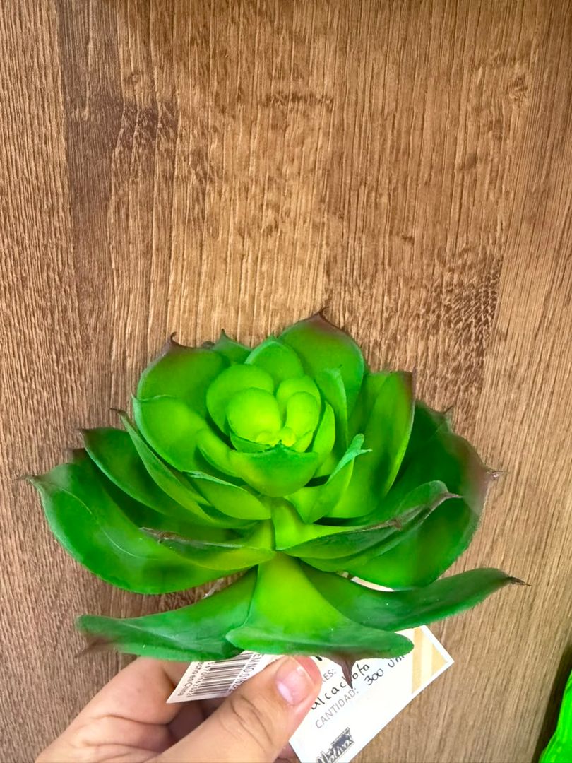 SUCULENTA TIPO FLOR VERDE
