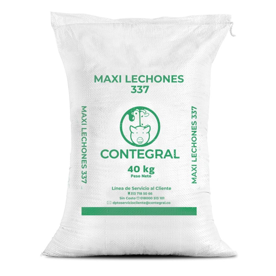Maxi lechones 337