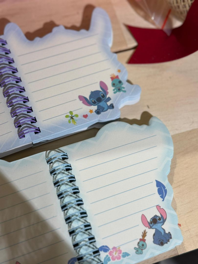 MINI LIBRETA STH 66-3