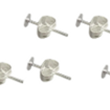 Imagen del producto 10 ACCESORIOS ARETES PLATE