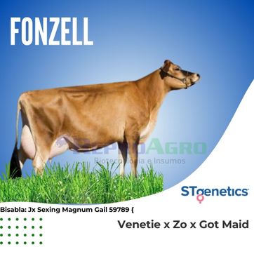 FONZELL - imagen 1