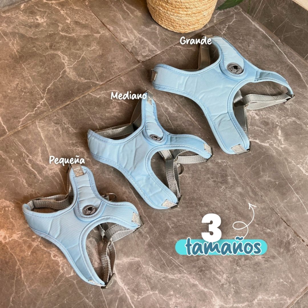MP091-