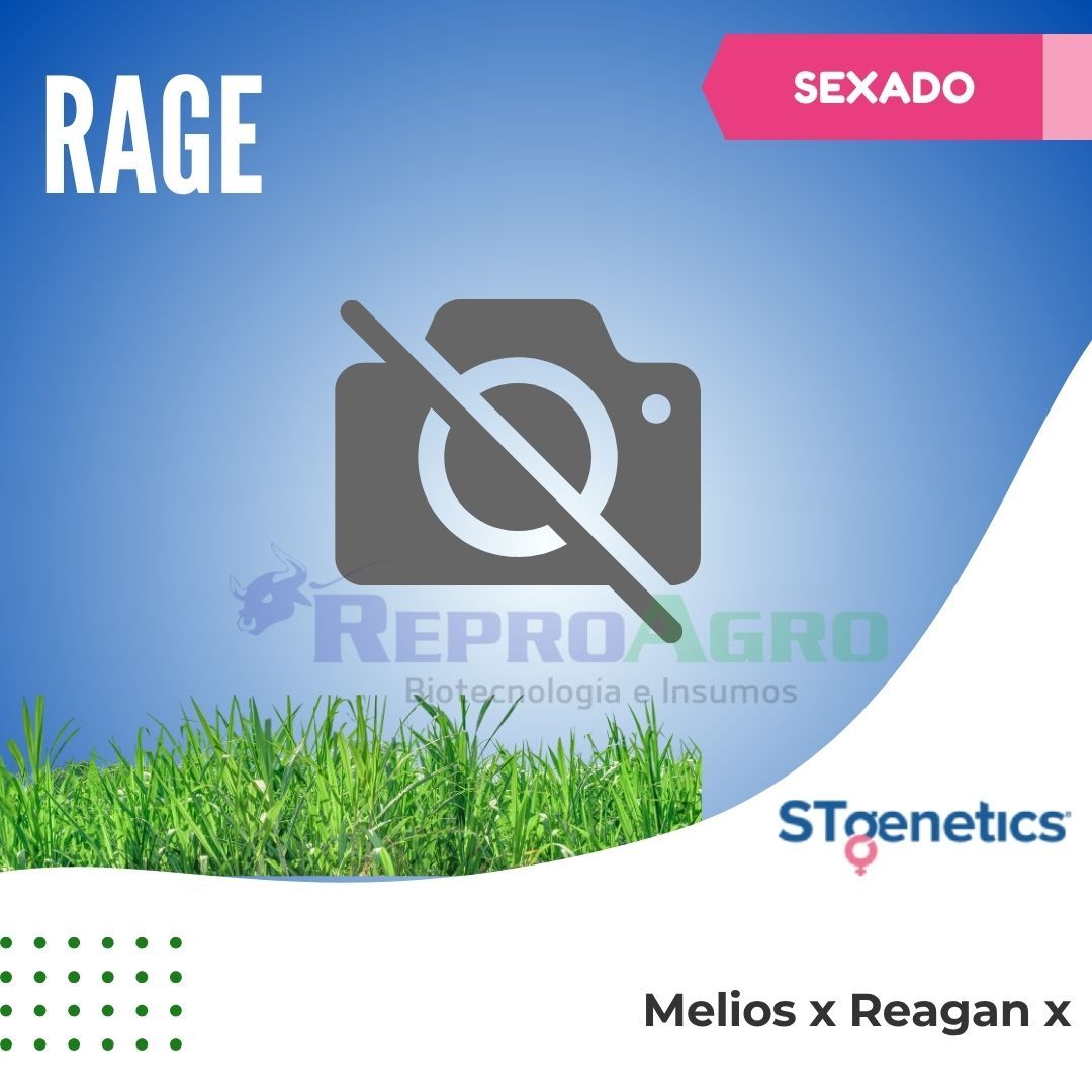 RAGE SEXADO