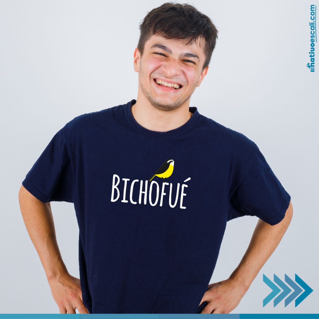 Bichofué