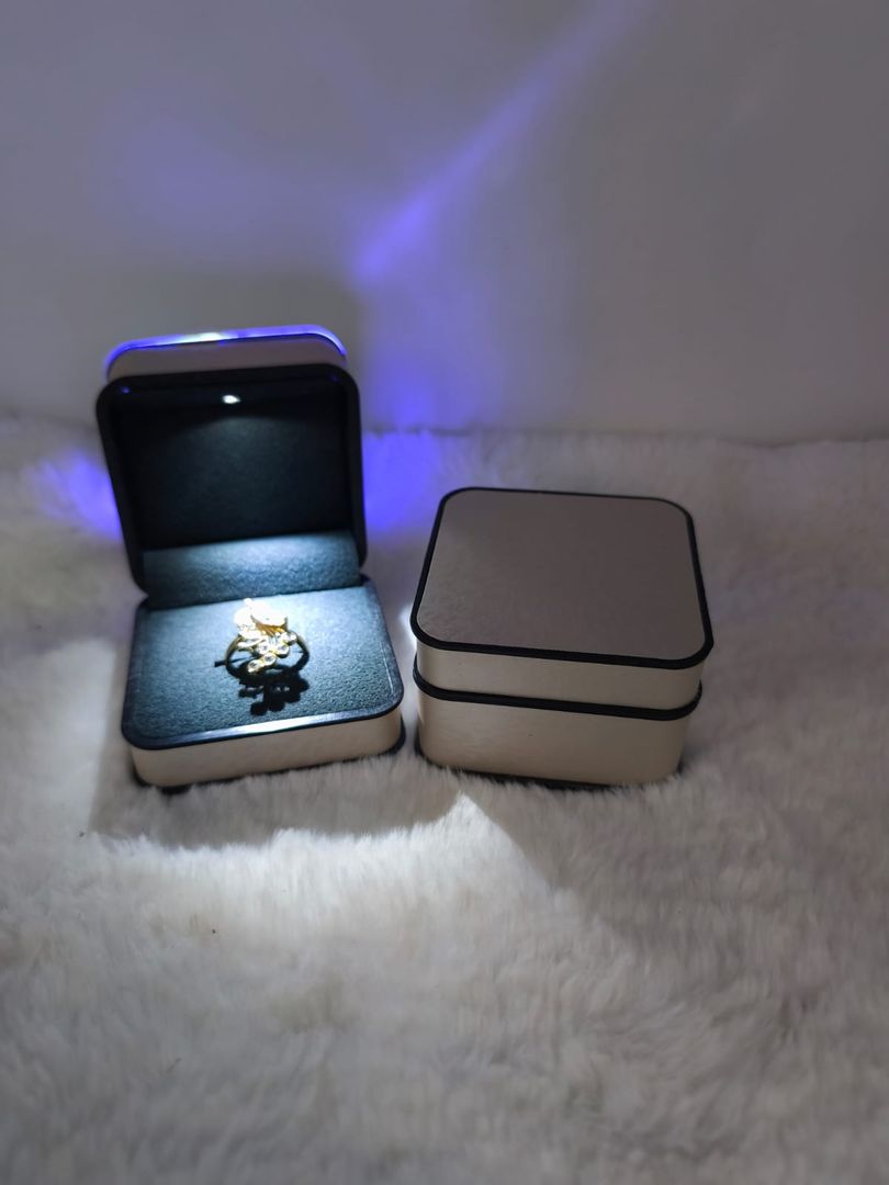 CAJA CON LUZ JM325