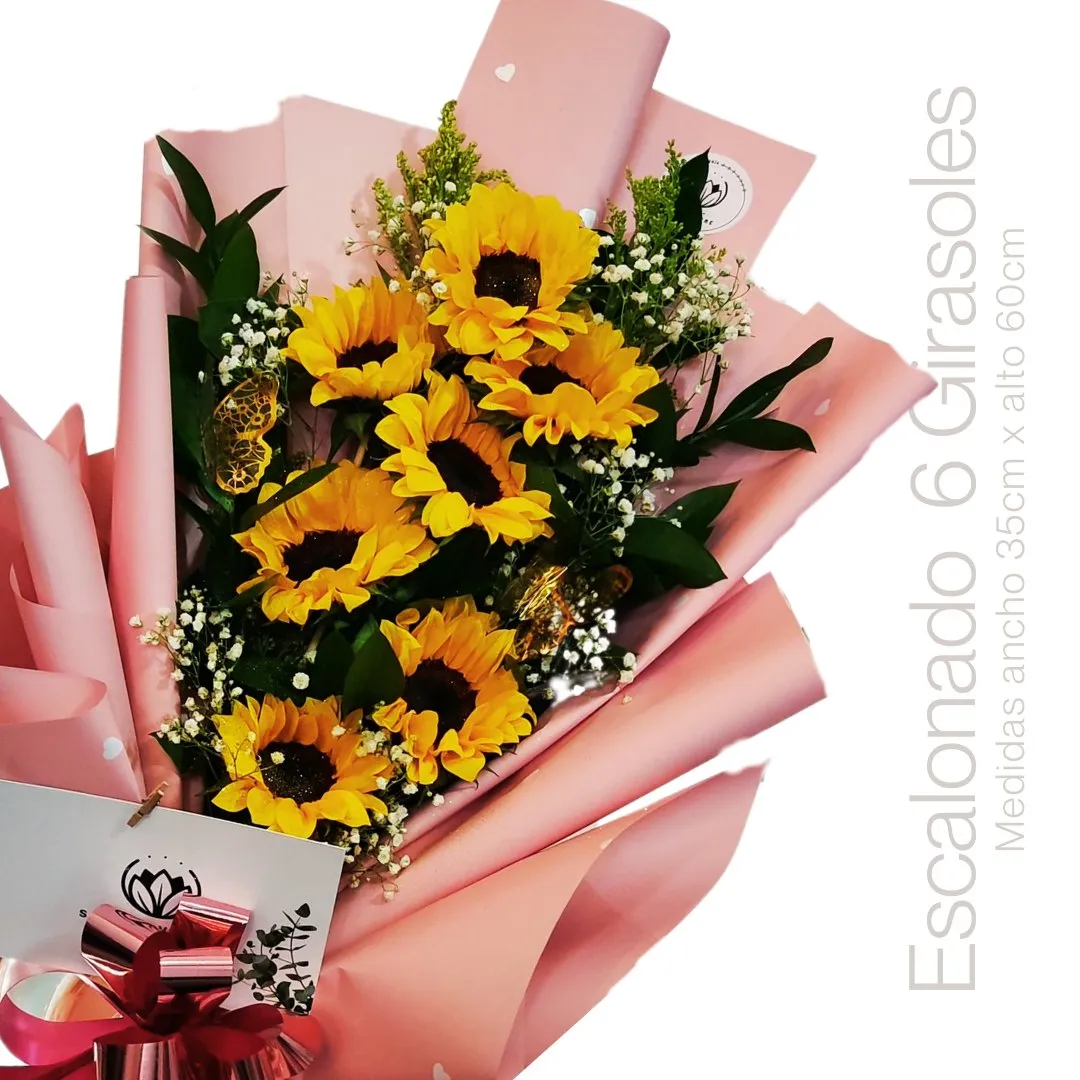 ESCALONADO 8 GIRASOLES