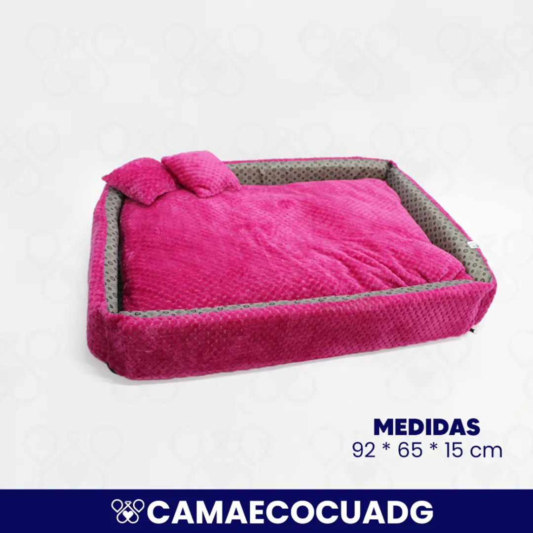 CAMAECOCUADG