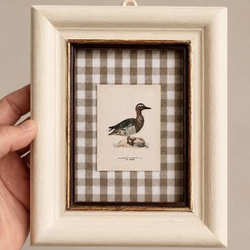 Cuadro Vichy Duck  - imagen 1