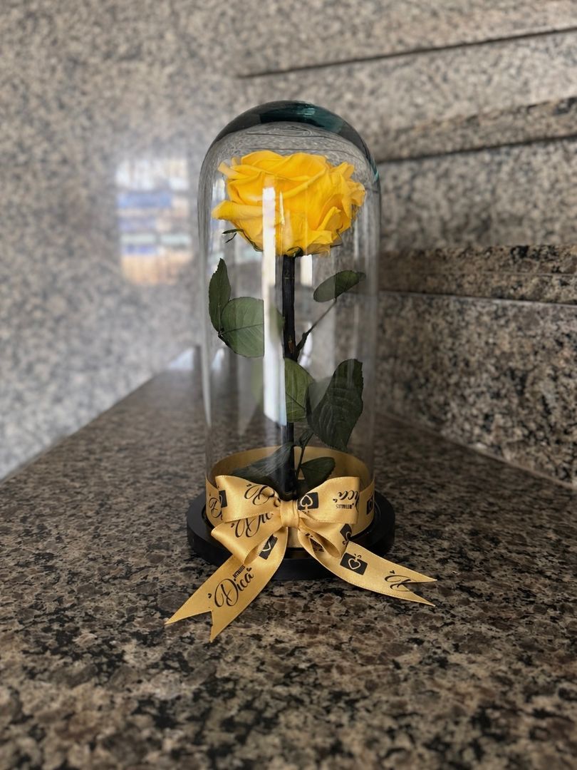 Rosa preservada 