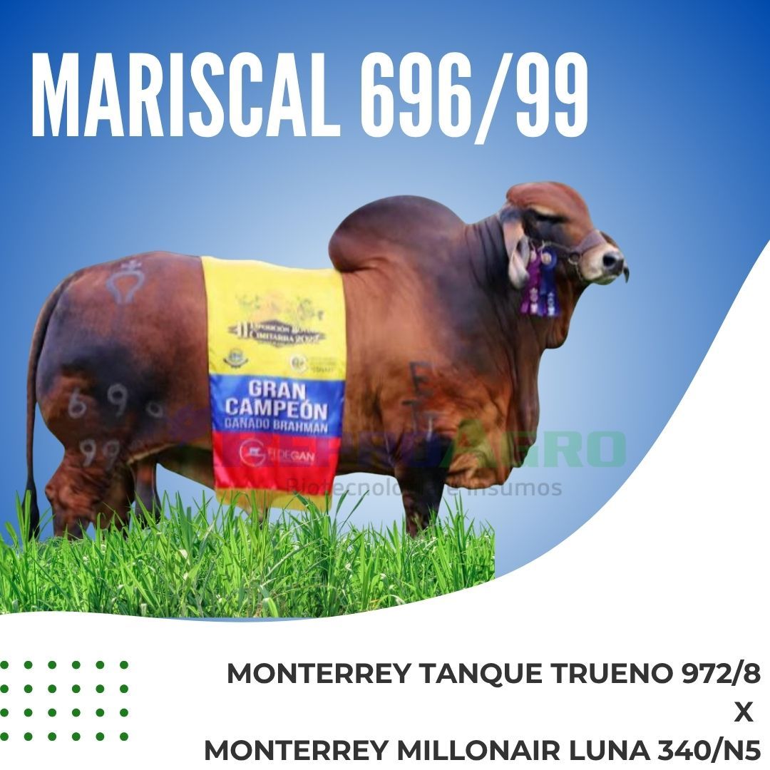 MARISCAL 696/99