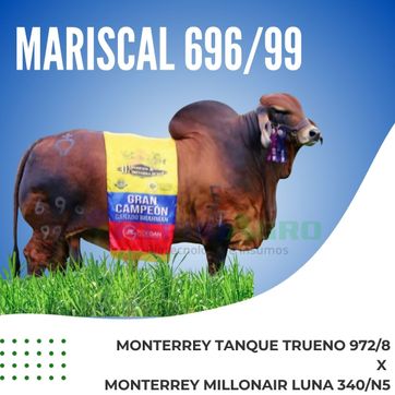 MARISCAL 696/99 - imagen 1