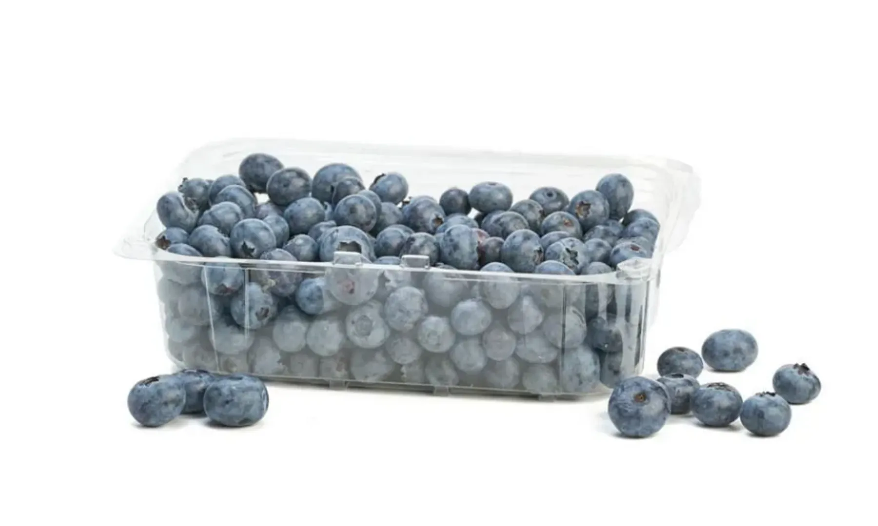 .ARANDANOS JUMBO*500G