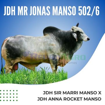 JDH MR JONAS MANSO 502/6 - imagen 1