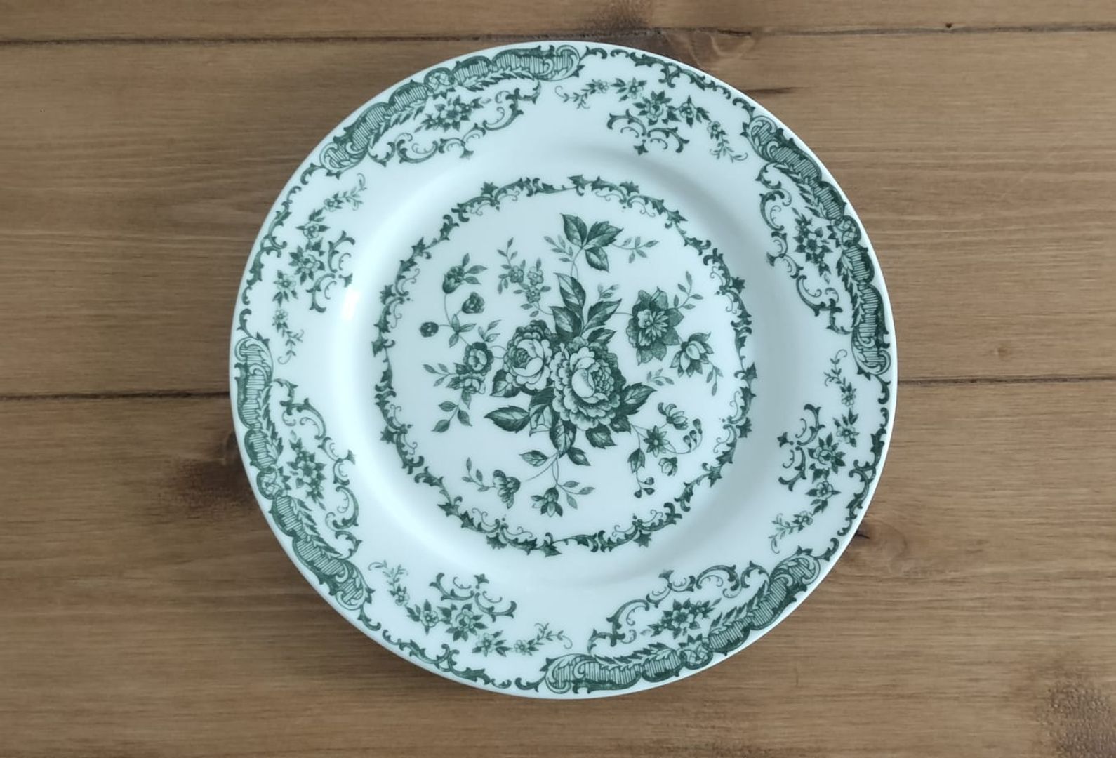 PLATO - FRANCES VERDE