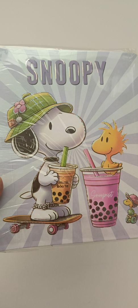 Folder snoppy