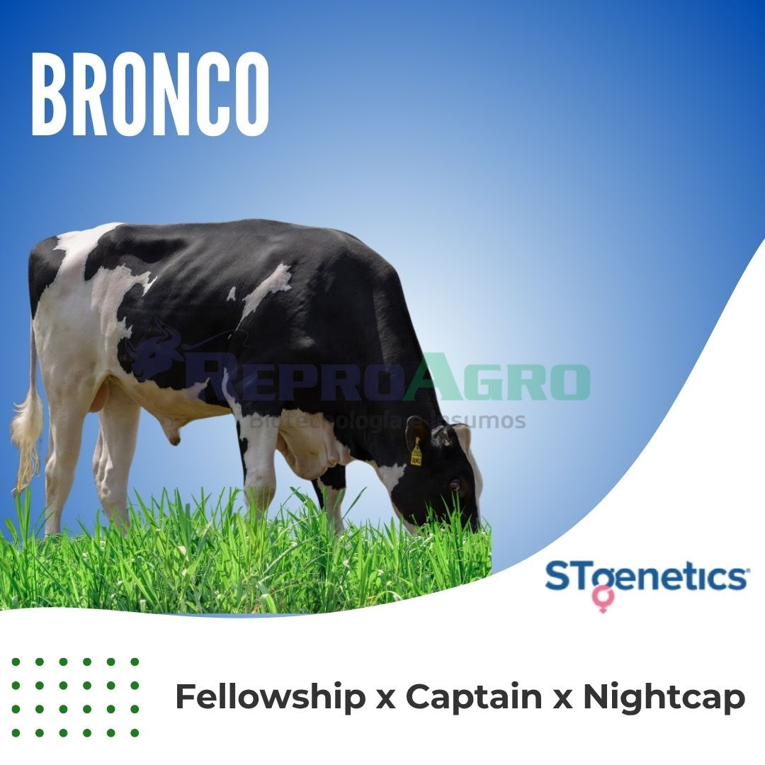 BRONCO