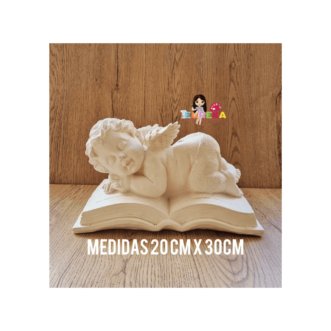 Angel libro