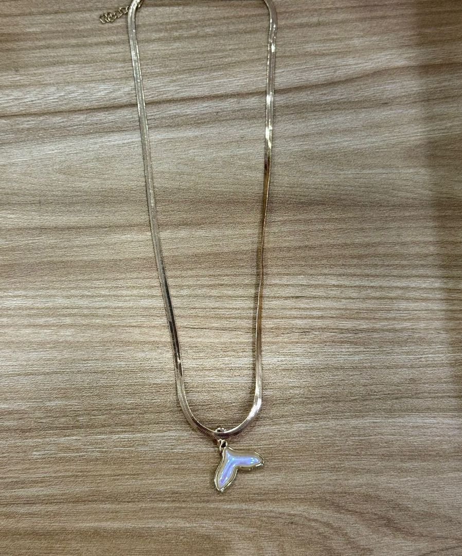 000 COLLAR EN ACERO