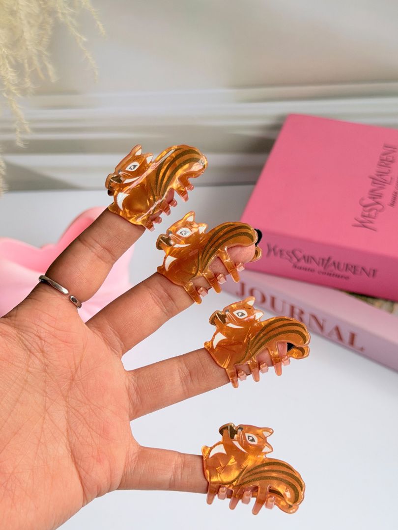MINI ARDILLAS
