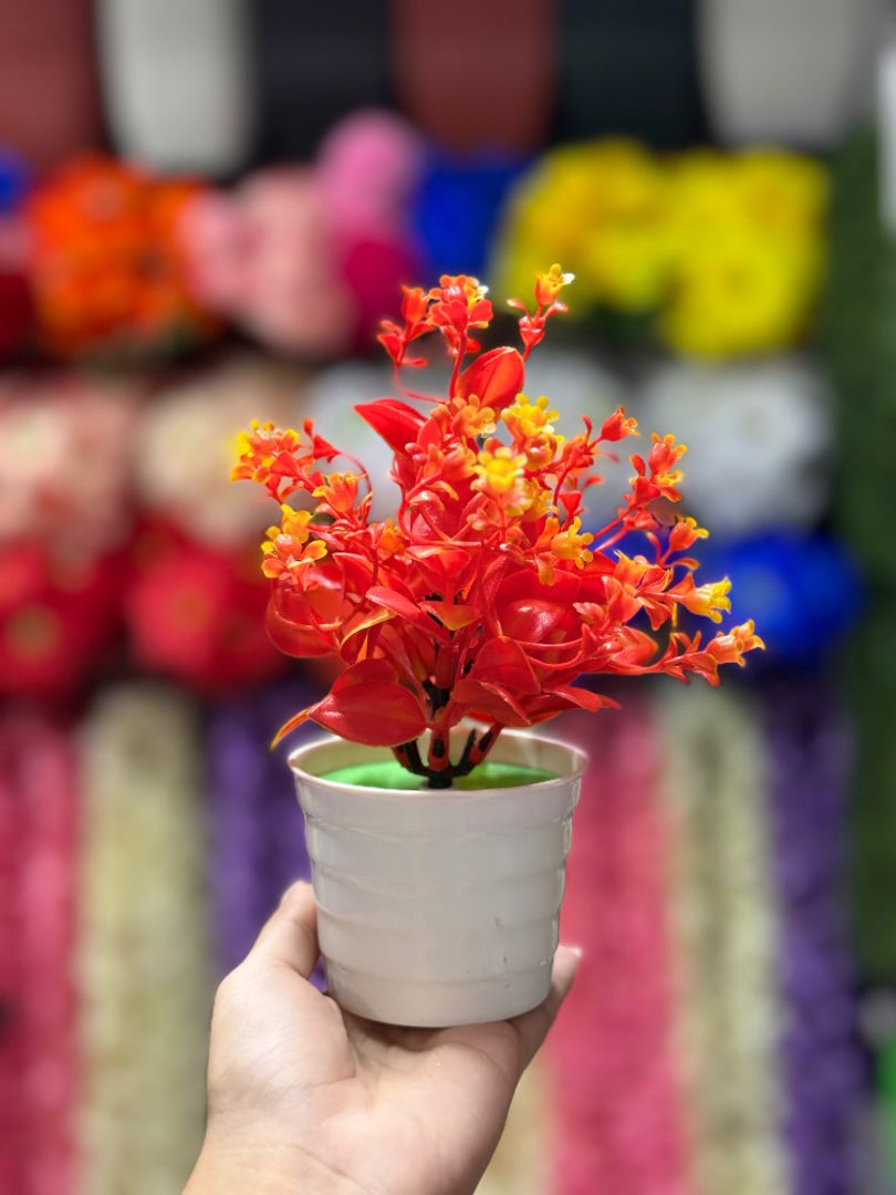 Fuego de Primavera