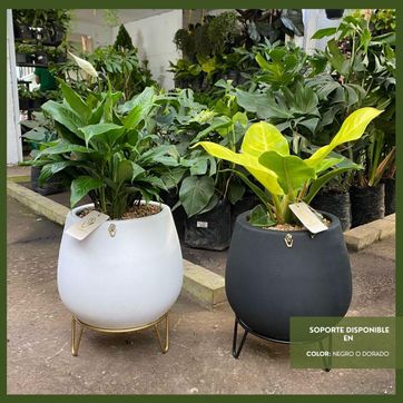 PROMO ARMA TU COMBO - imagen 5