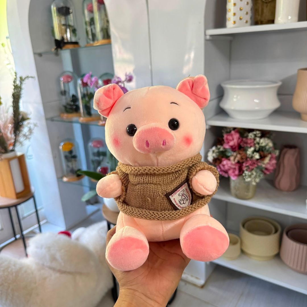 Cerdito con Buzo
