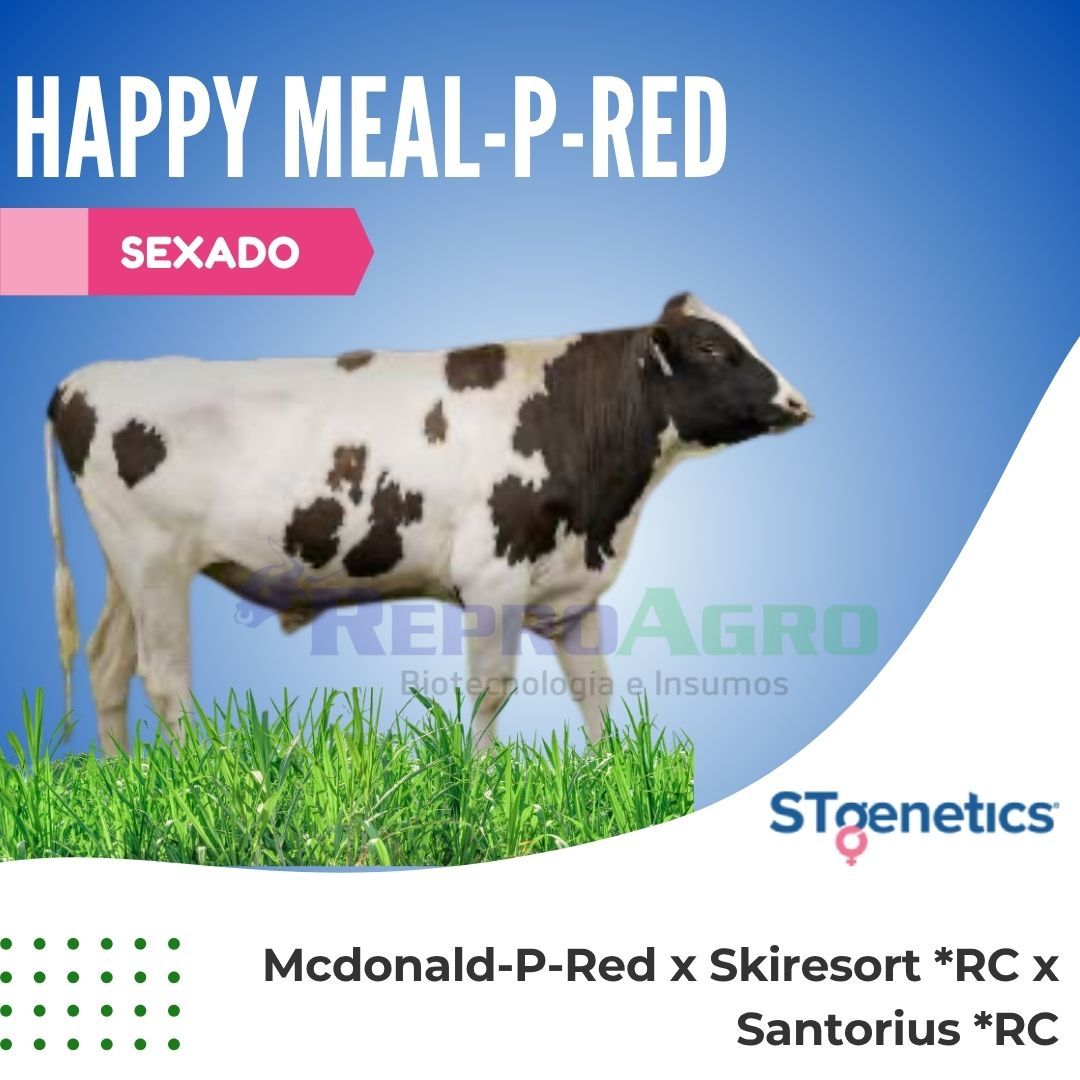 HAPPY MEAL-P-RED SEXADO