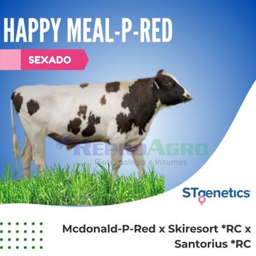 HAPPY MEAL-P-RED SEXADO - imagen 1