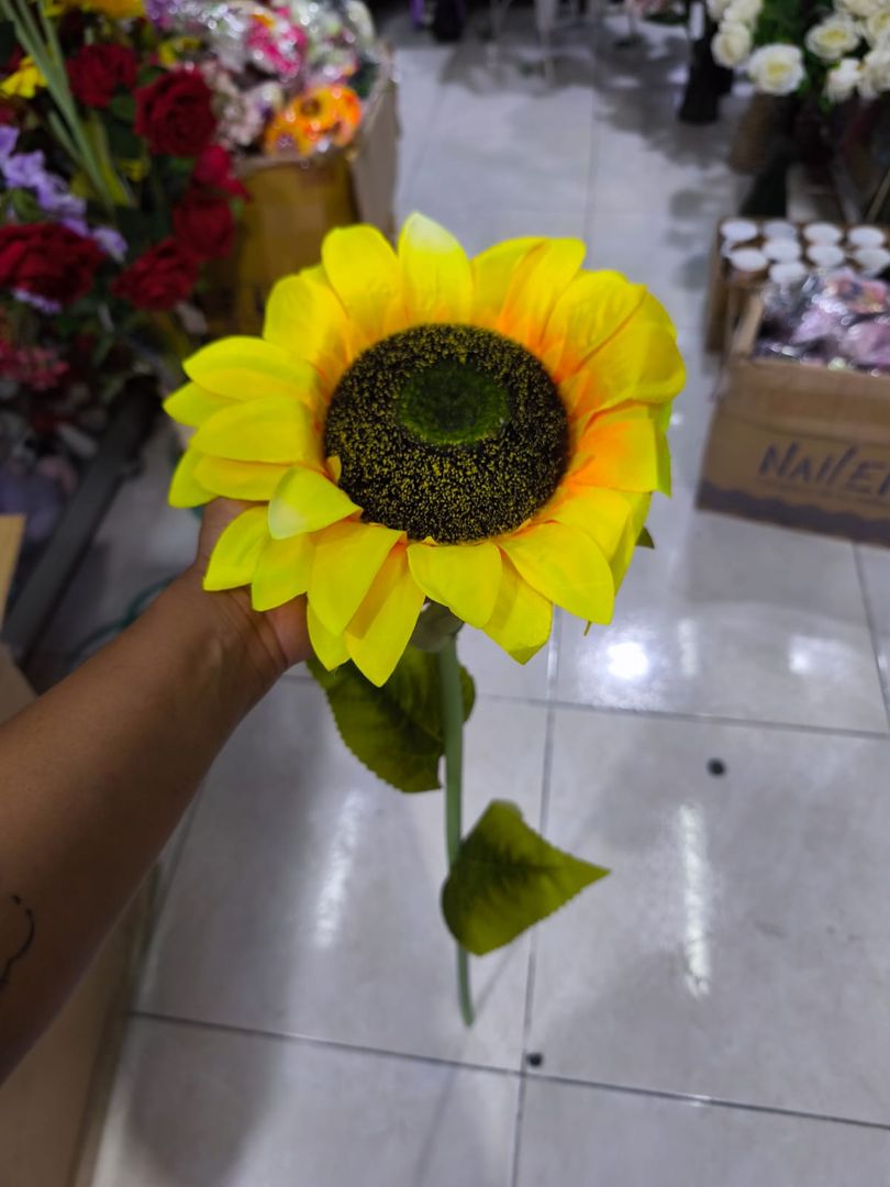 GIRASOL TALLO LARGO JM055
