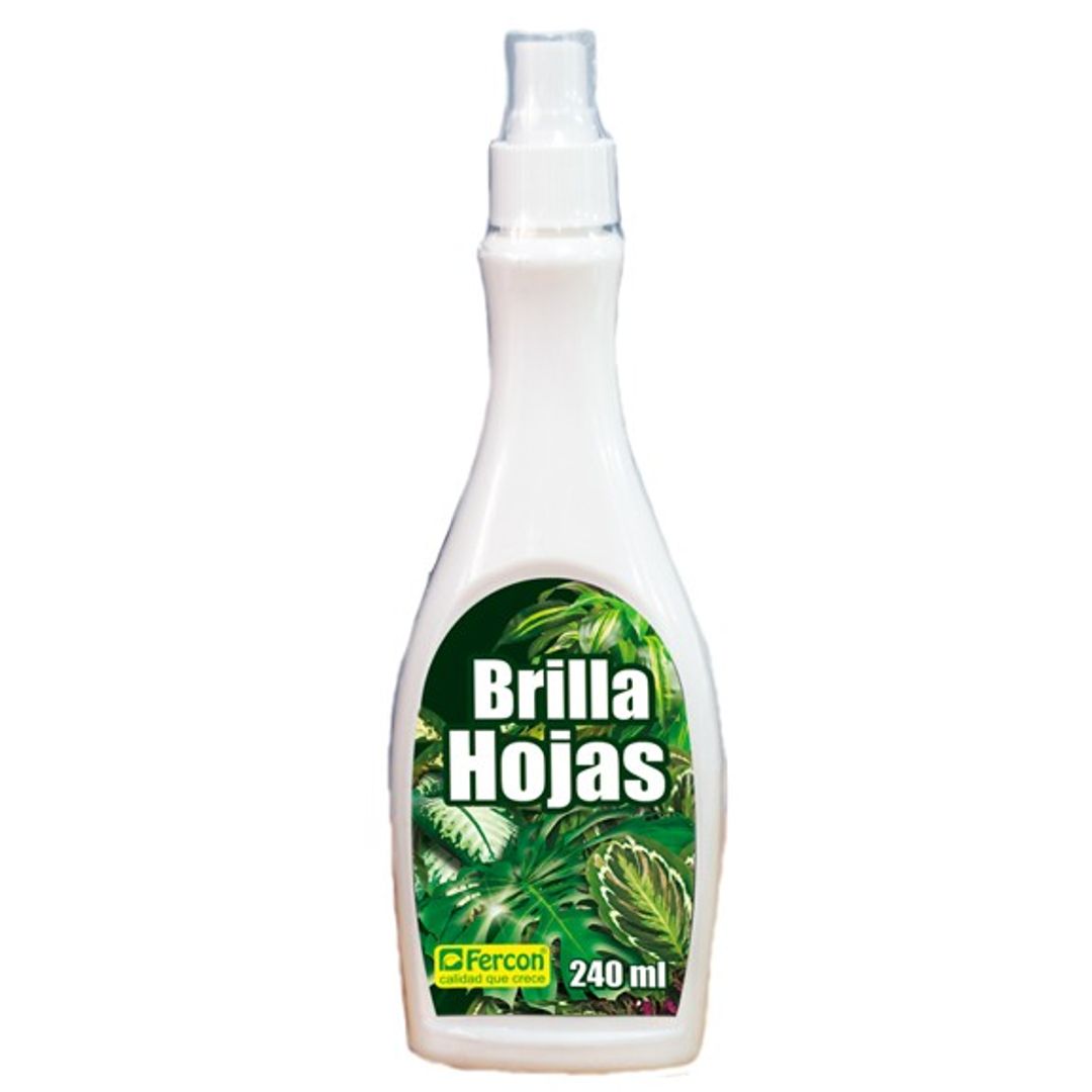 BRILLA HOJAS