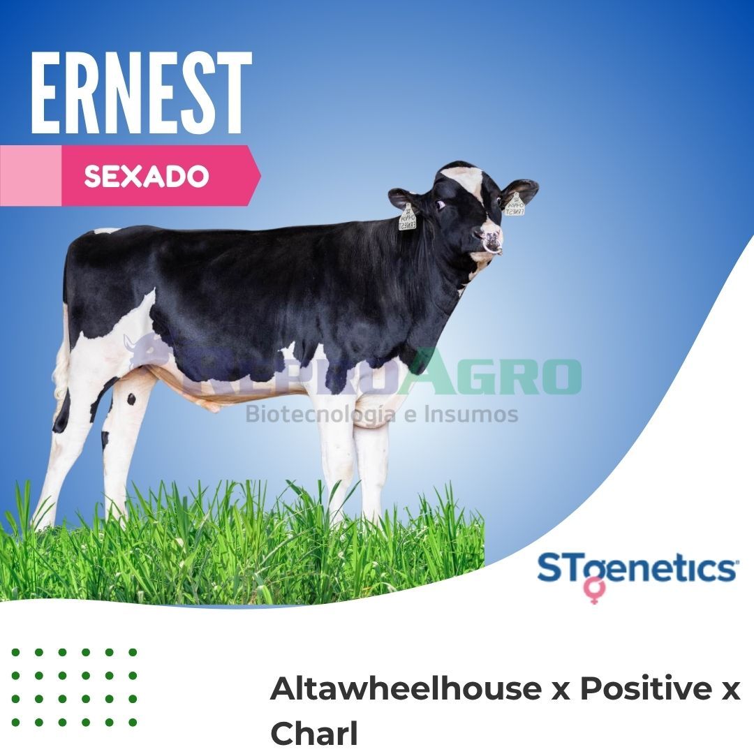 ERNEST SEXADO