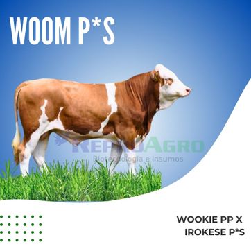 WOOM P*S - imagen 1