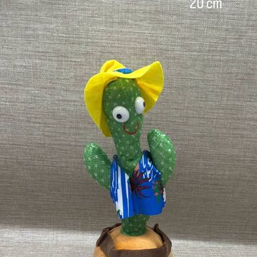 Imagen del producto CACTUS BAILARÍN SURTIDO 