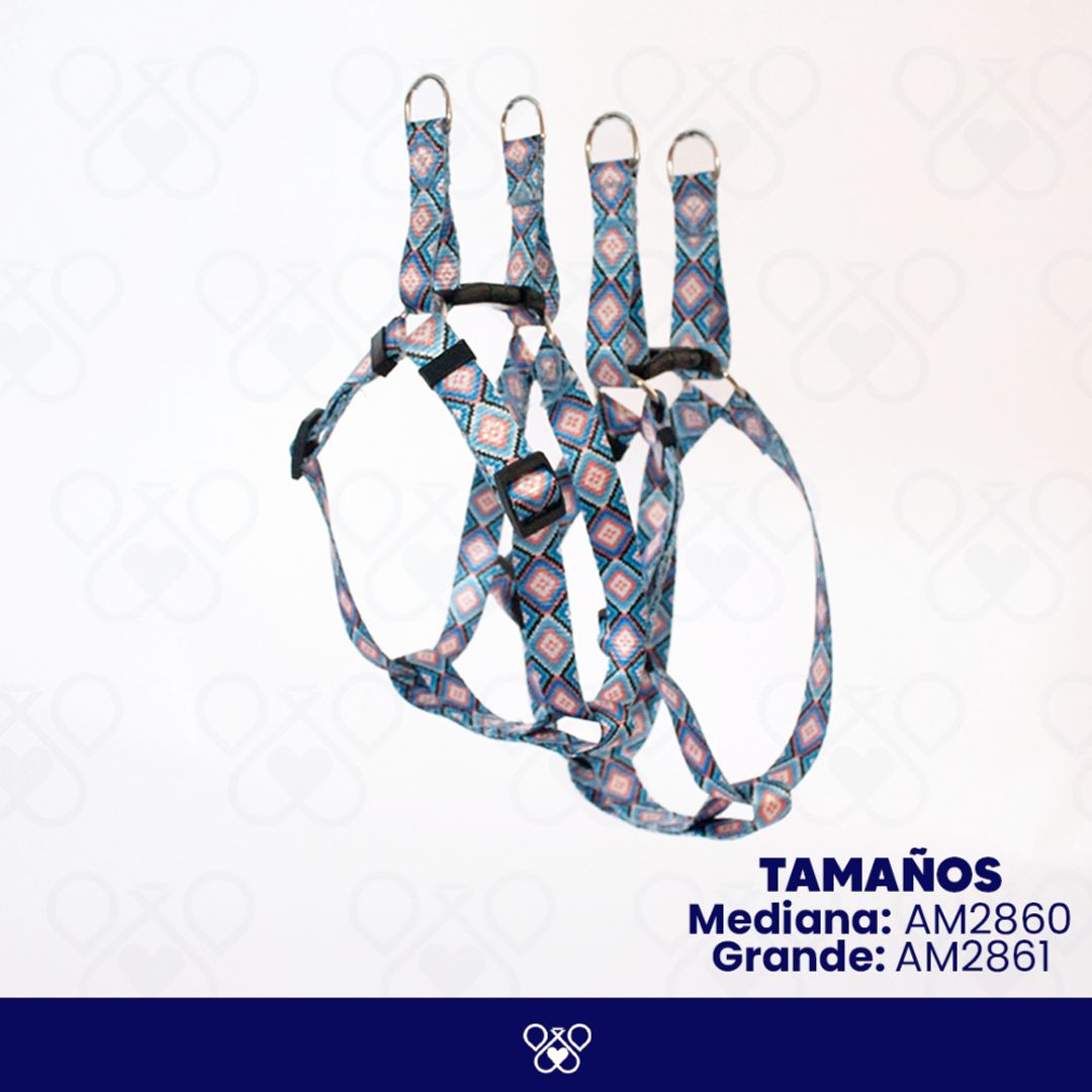 AM286-