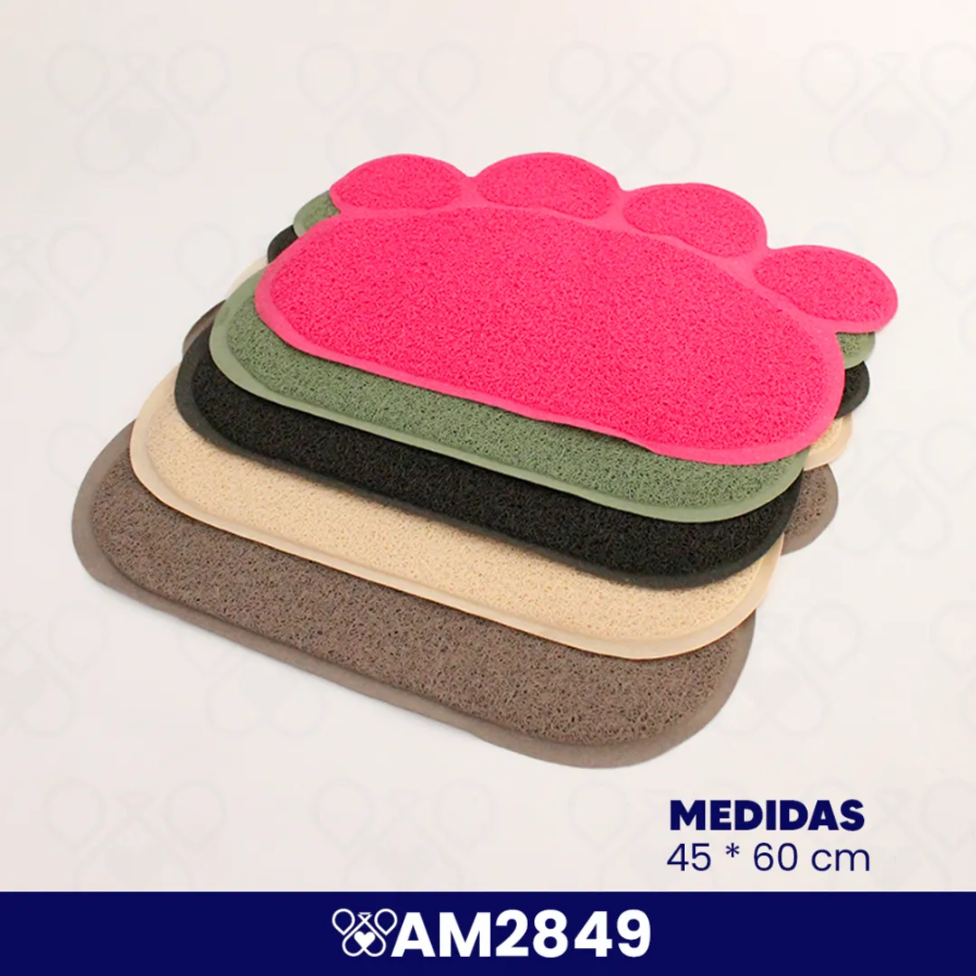 AM2849