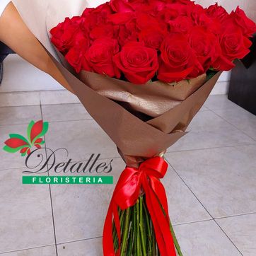 Imagen del producto yugo rosas rojas (2 paq de rosa)