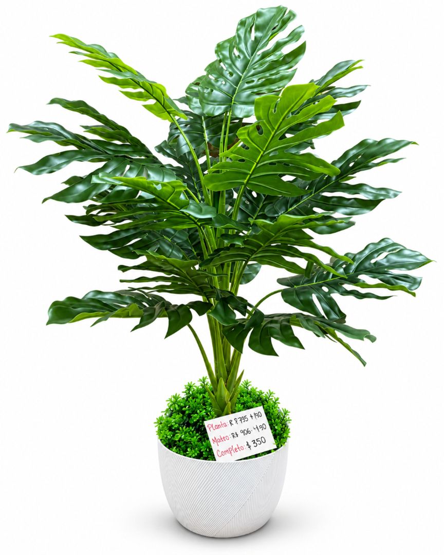 PLANTA DE BALAZO 1.30 METROS