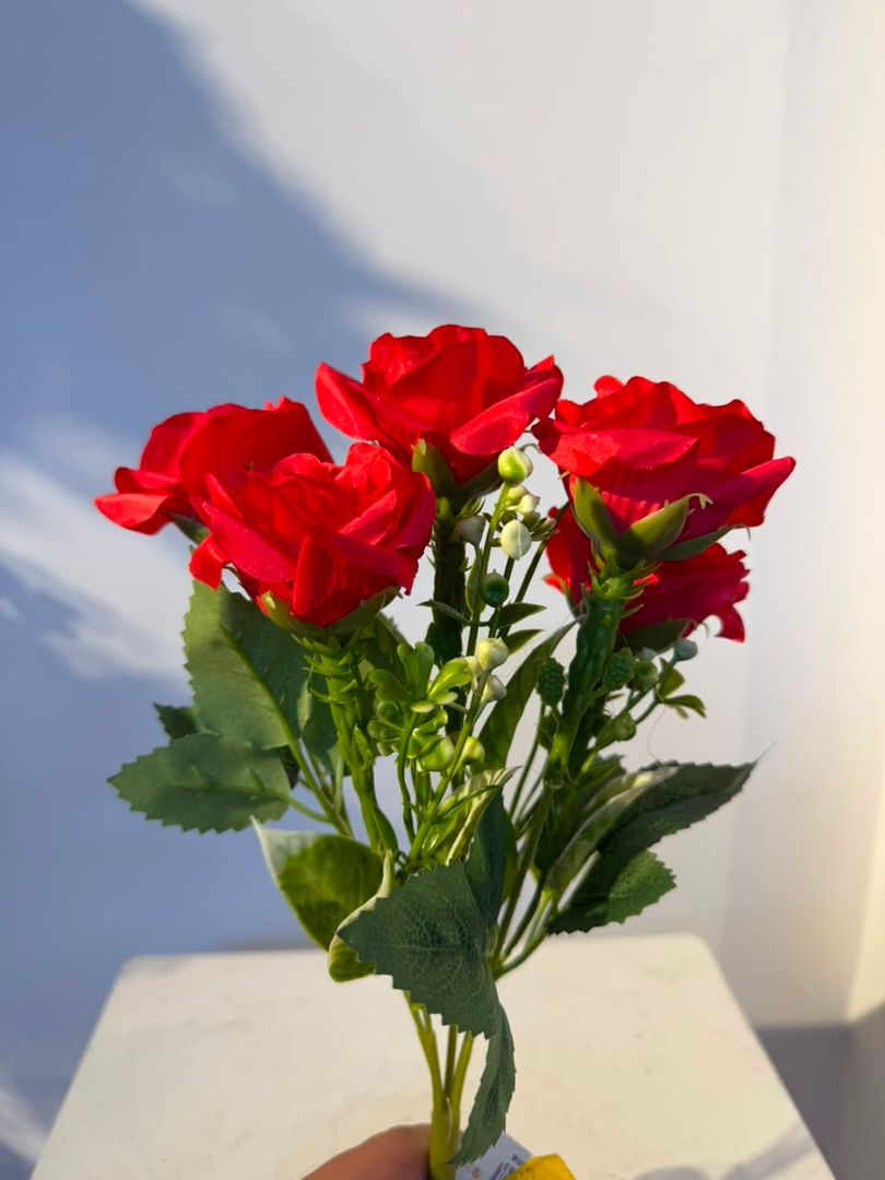 MINI ROSA X 5 ROJA