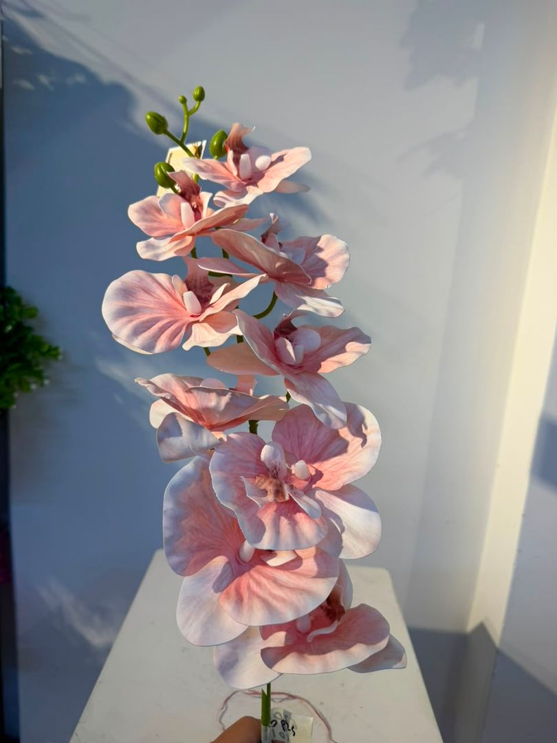 ORQUIDEA EN VARA X 9 ROSADA PASTEL