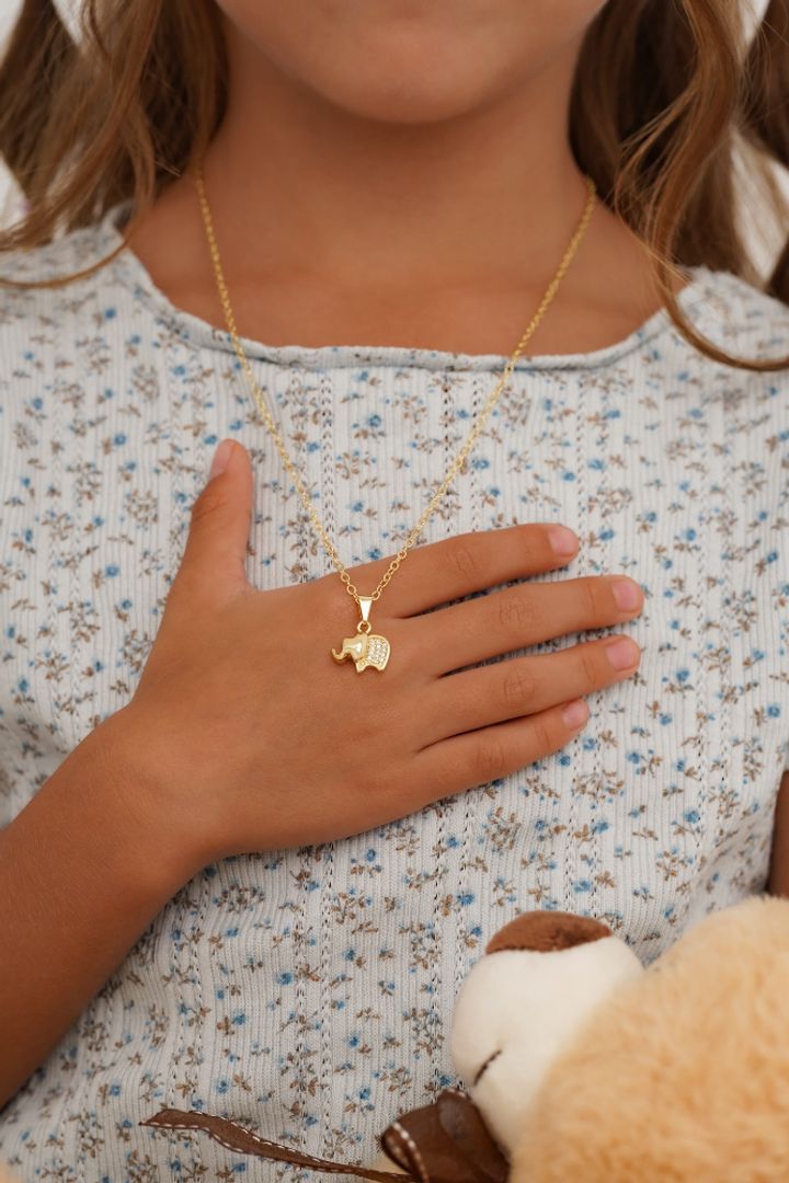 D elefante circonias 