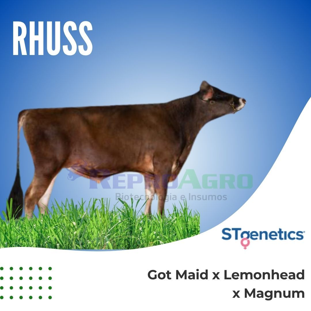 RHUSS
