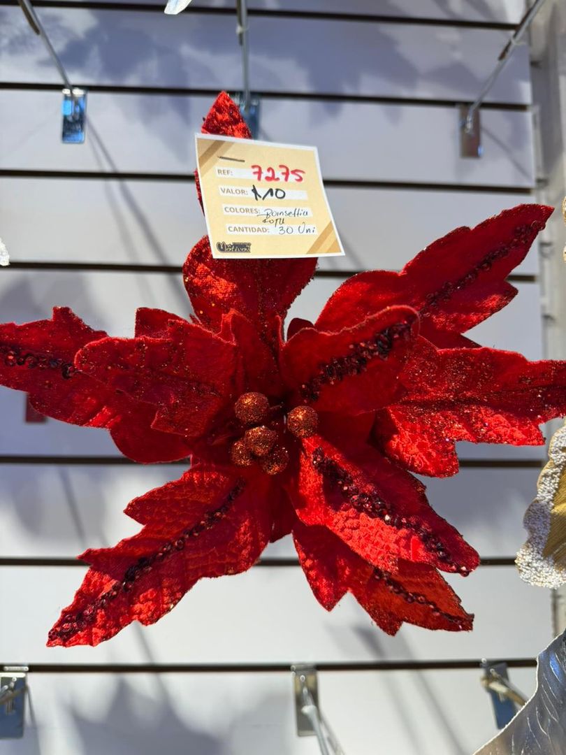 PONSETIA ESTILO PANA ROJA