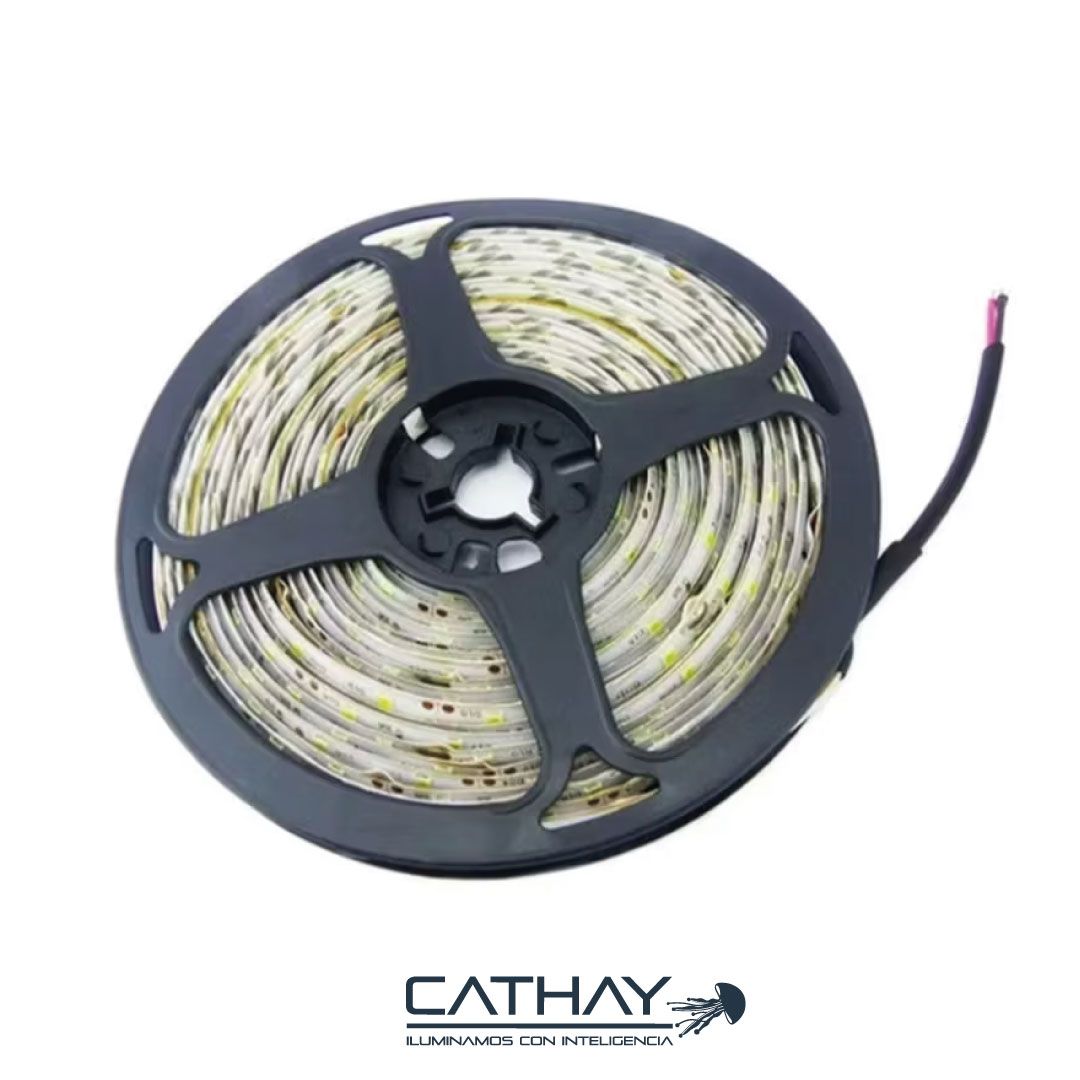 CINTA LED RGB x 5 MTS MCY 