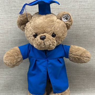 Imagen del producto OSO CAFÉ DE GRADO COLOR AZUL 55 CM