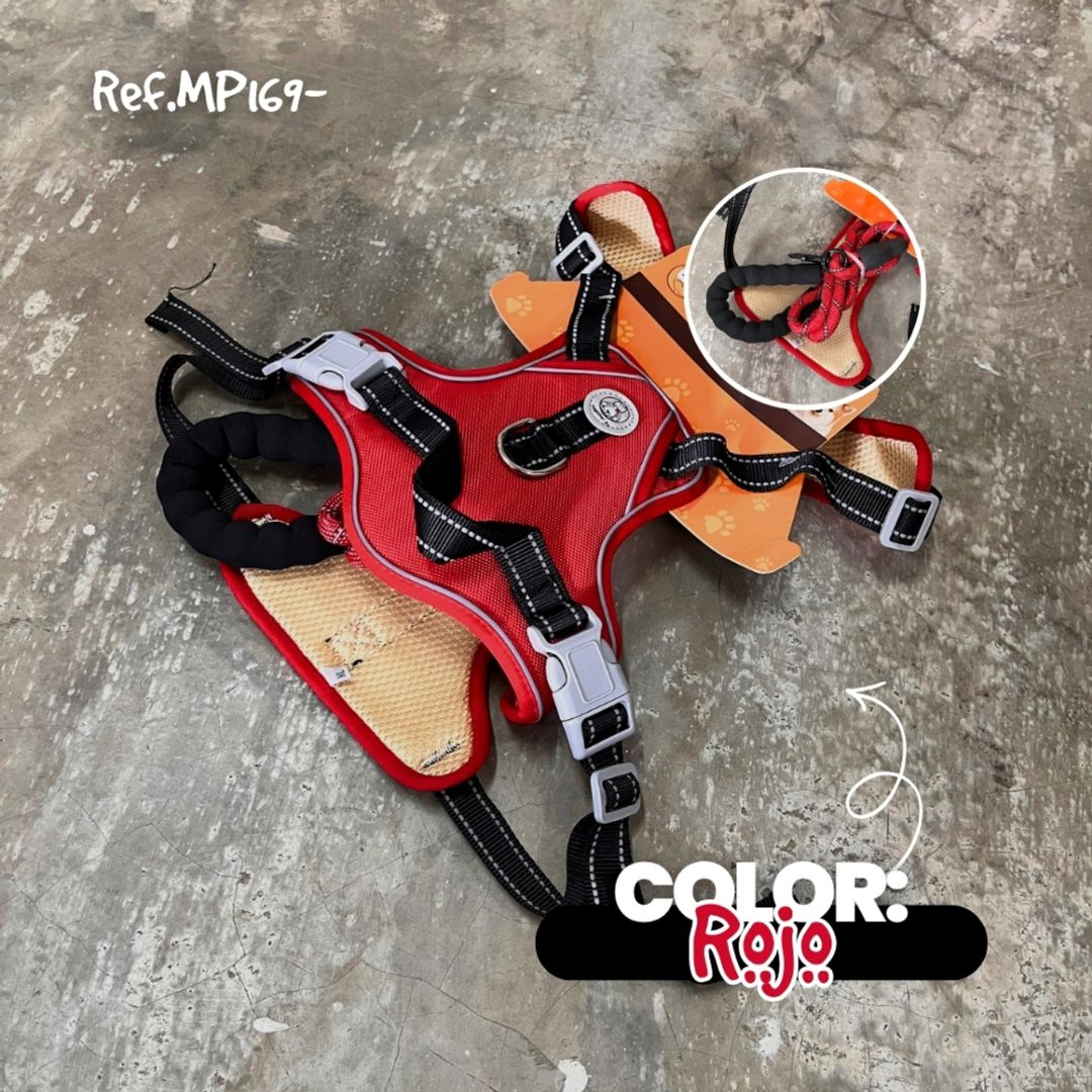 MP169-