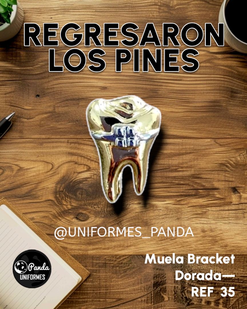  PIN MUELITA